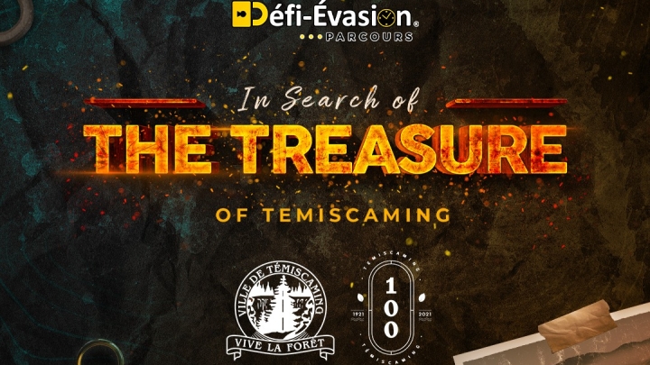 IN SEARCH OF THE TREASURE