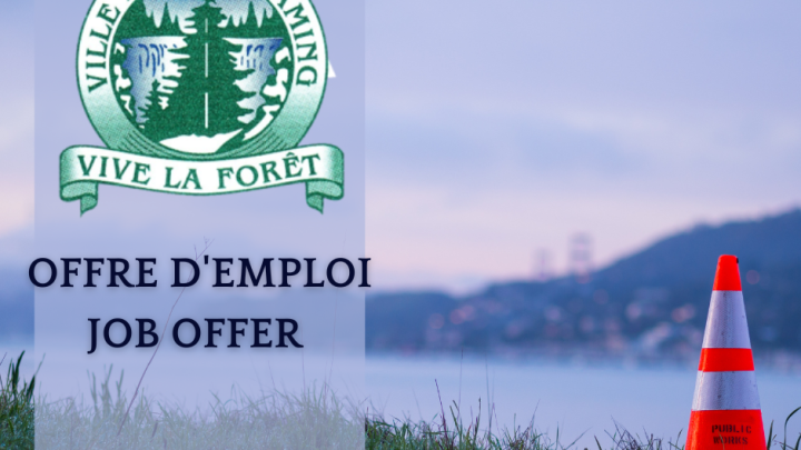 Offre d'emploi - Directeur(trice) Travaux publics