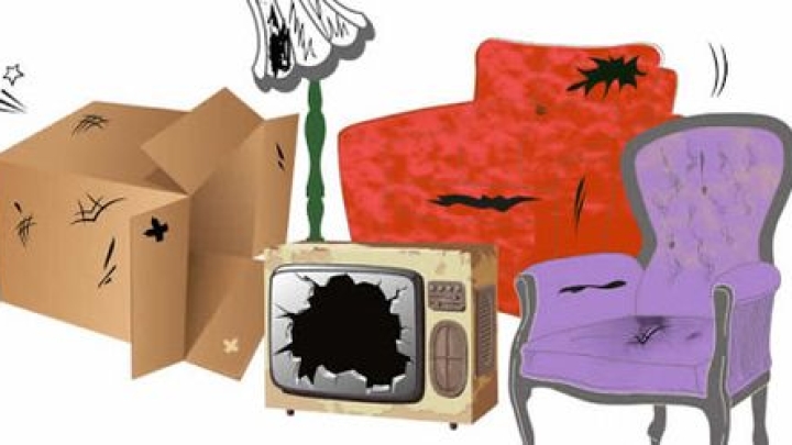 Spring Cleanup Campaign