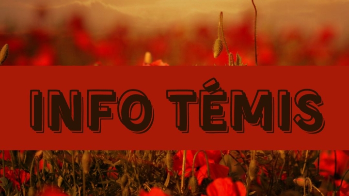 INFO TEMIS - NOVEMBER 2022