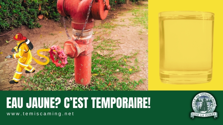 EAU JAUNE? C'EST TEMPORAIRE!