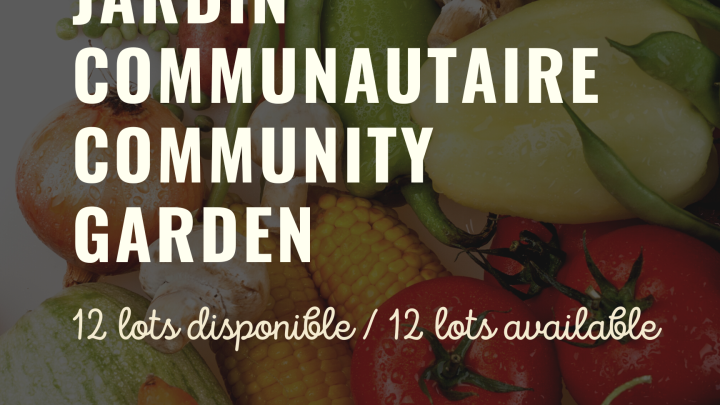 Jardin communautaire