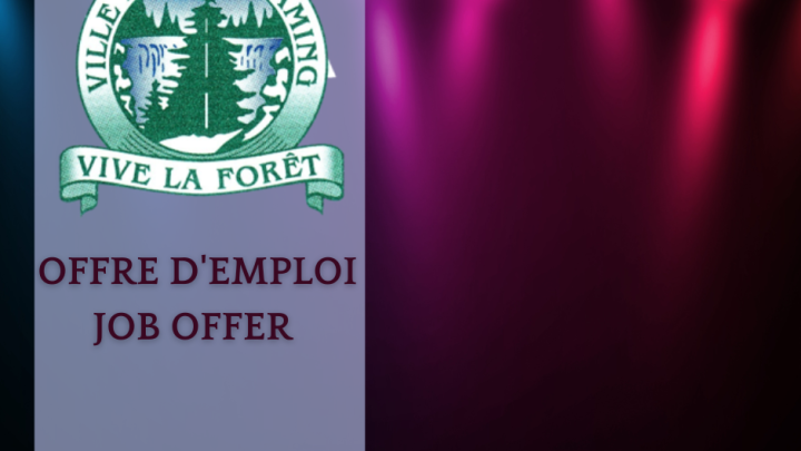 Offre d'emploi - Directeur des loisirs et de la culture