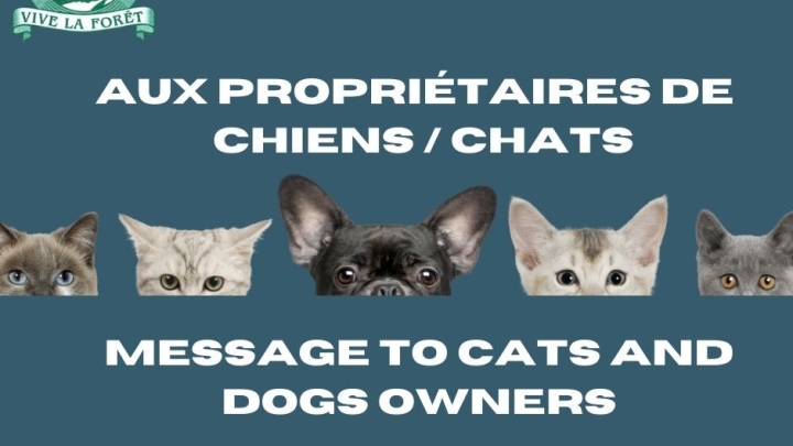 Message to cats and dogs owners