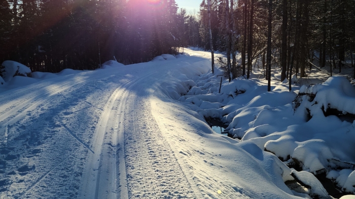 Bike path from Lafort Street to Little Canada Road