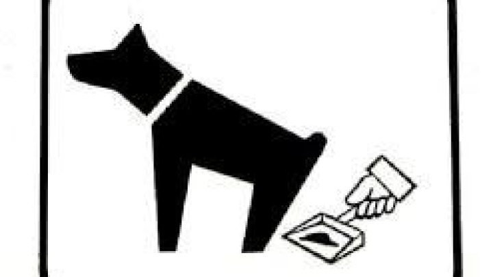 Message to dog and cat owners