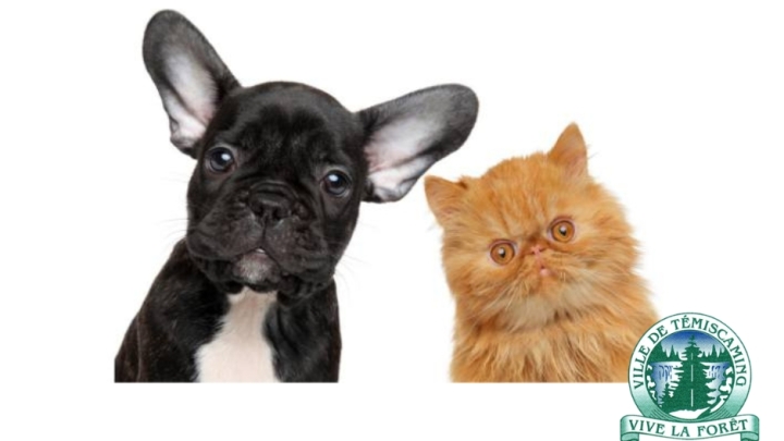 AVIS AUX PROPRIÉTAIRES DE CHIENS/CHATS