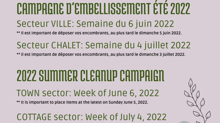 2022 summer cleanup campaign