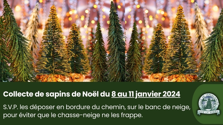 CHRISTMAS TREE COLLECTION