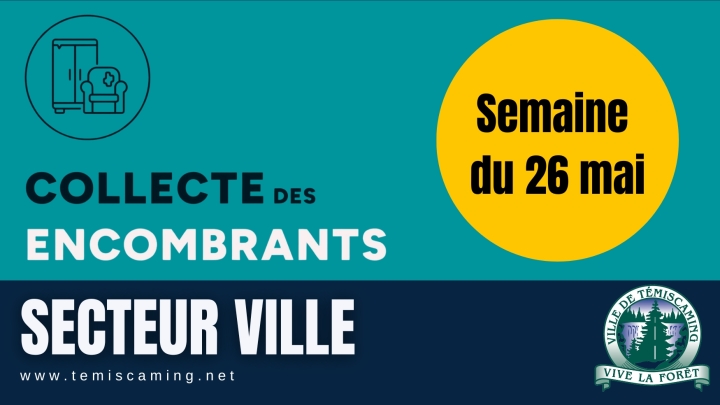 COLLECTE DES ENCOMBRANTS (SECTEUR VILLE)