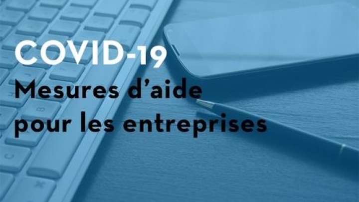 Support to enterprises