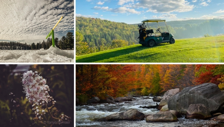 LES 4 SAISONS DE TÉMISCAMING