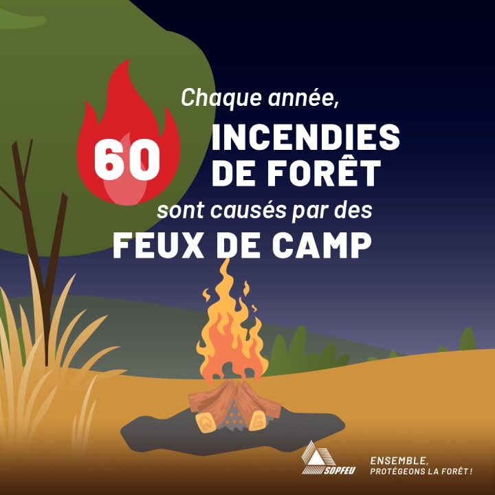 AWARENESS | FOREST FIRES