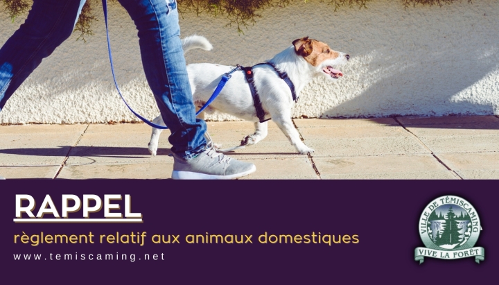 RAPPEL - RÈGLEMENT RELATIF AUX ANIMAUX DOMESTIQUES