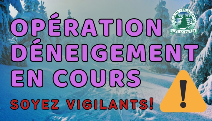 TEMPÊTE HIVERNALE |