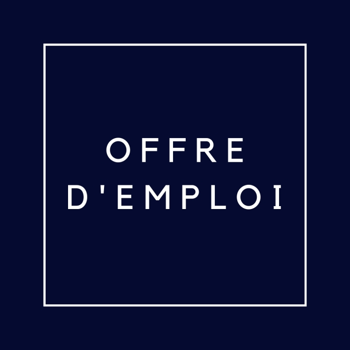 DIRECTEUR(TRICE) DES LOISIRS ET DE LA CULTURE