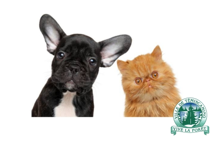 MESSAGE TO OWNERS OF DOGS/CATS