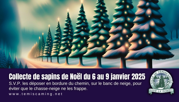 COLLECTE DES SAPINS DE NOËL : 6 AU 9 JANVIER 2025