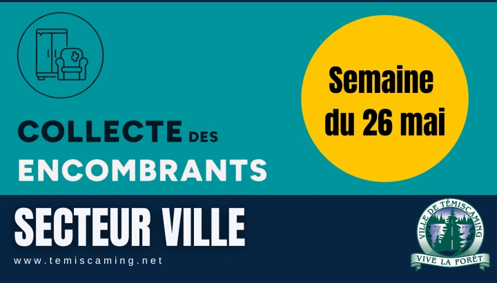 COLLECTE DES ENCOMBRANTS (SECTEUR VILLE)