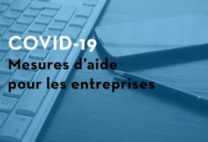 Support to enterprises