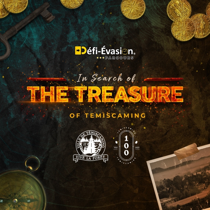 IN SEARCH OF THE TREASURE
