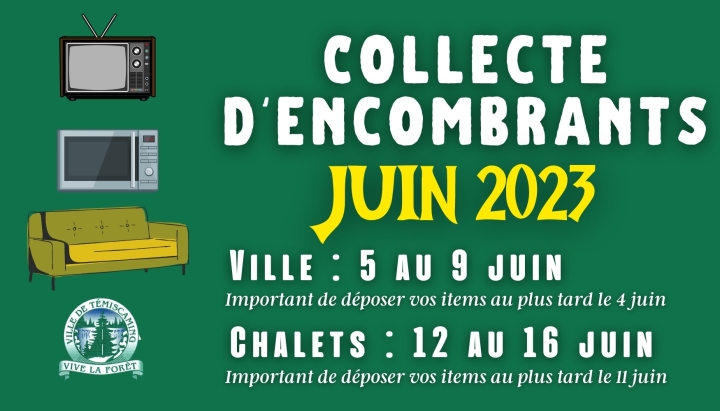 BULKY ITEMS COLLECTION