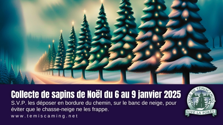 COLLECTE DES SAPINS DE NOËL : 6 AU 9 JANVIER 2025